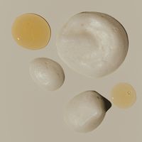 Lelive  Clean Slate | Cleanse + Renew Body Wash